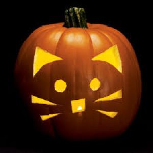 Low Key Friday's - Pumpkin Carving Night @ Live & Learn Centre