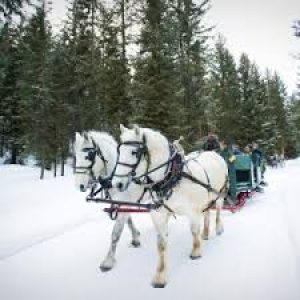 Saturday Night Out - St Jacobs Winter Sleigh Rides @ Live & Learn Centre
