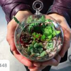 Live & Learns Tween Program - DIY Terrarium Night @ Live & Learn Centre