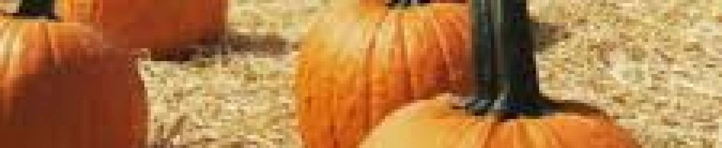 Tween Program – Pumpkin Carving Night